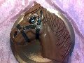 konj za  rodjendan