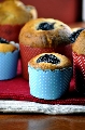 vocni muffins