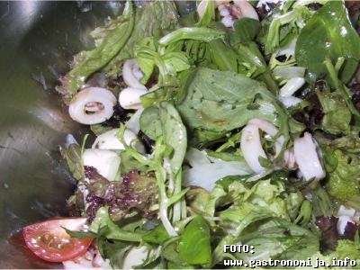 Salata sa lignjama